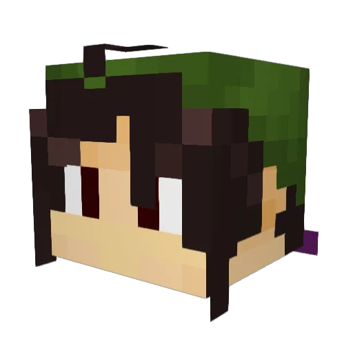 pandainu Minecraft avatar head, 3D render