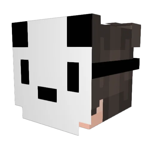 pandaking223 Minecraft avatar head, 3D render