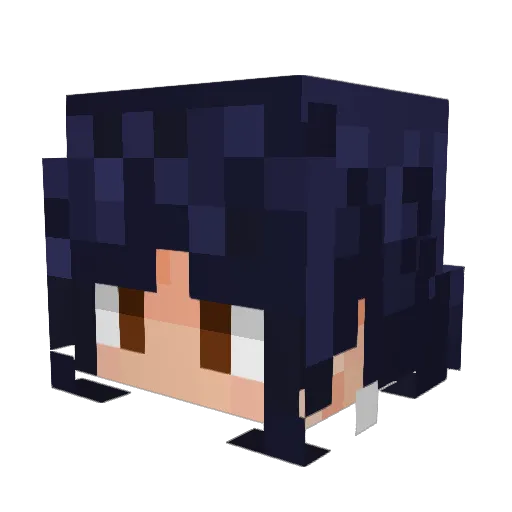 pandamoloney Minecraft avatar head, 3D render