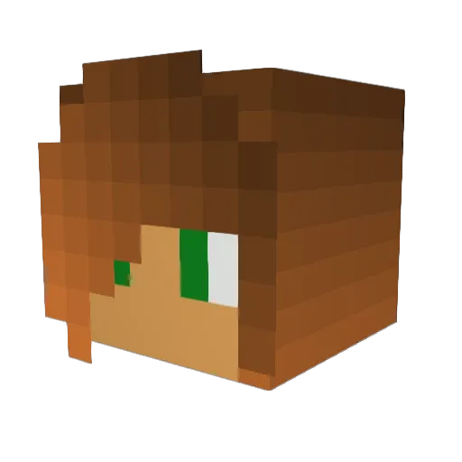 pandamooie Minecraft avatar head, 3D render