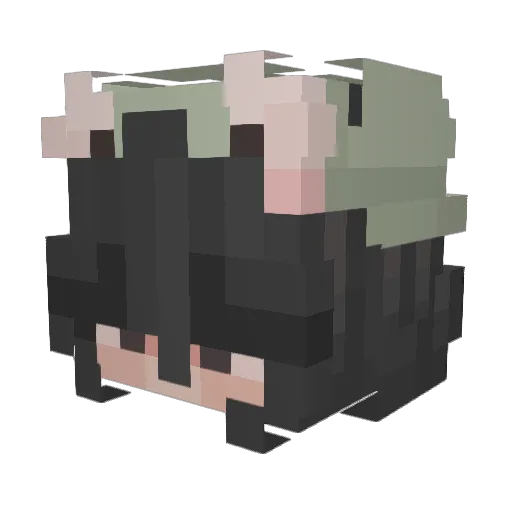 pandanshi Minecraft avatar head, 3D render