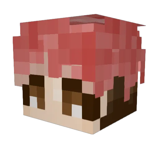 pandap00per Minecraft avatar head, 3D render