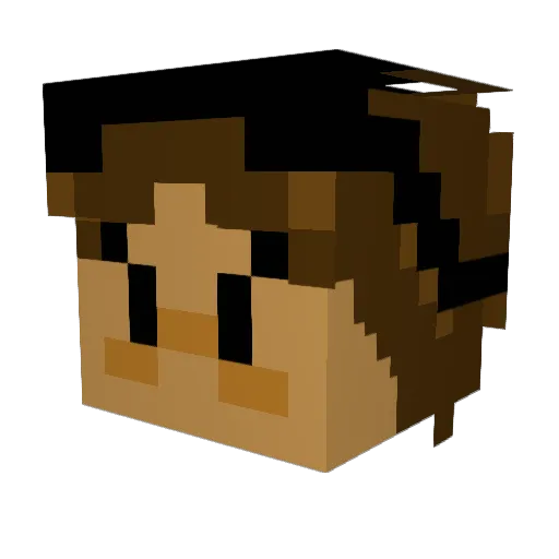 pandapanda88888 Minecraft avatar head, 3D render