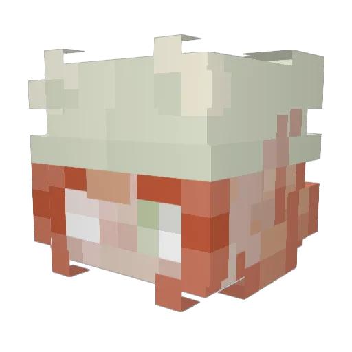 pandapoison2 Minecraft avatar head, 3D render