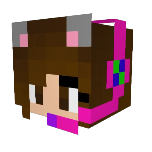 pandar00 Minecraft avatar head, 3D render