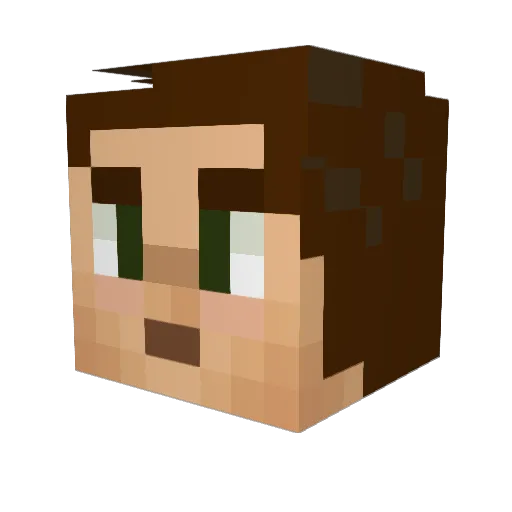pandas666 Minecraft avatar head, 3D render