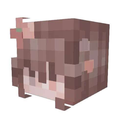 pandas916 Minecraft avatar head, 3D render