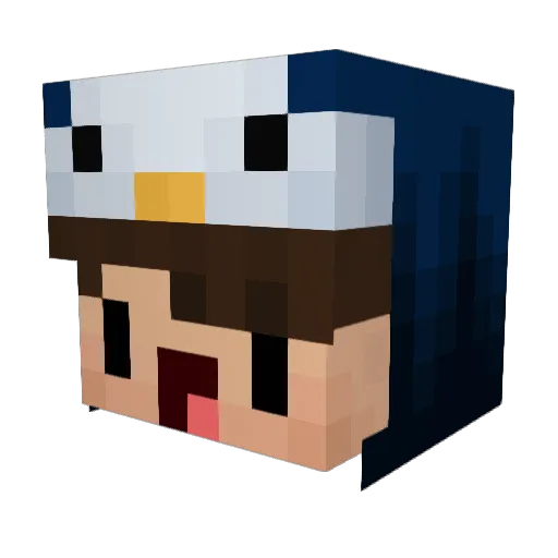 pandasky2 Minecraft avatar head, 3D render