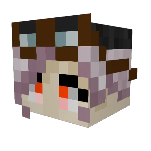 pandastique4 Minecraft avatar head, 3D render