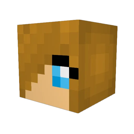 pandaterria Minecraft avatar head, 3D render