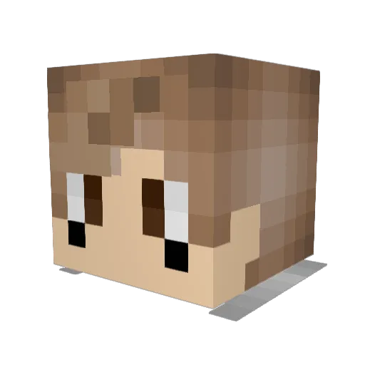 pandatnt3 Minecraft avatar head, 3D render