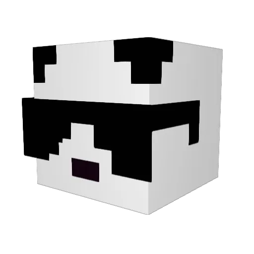 pandazsunglasses Minecraft avatar head, 3D render