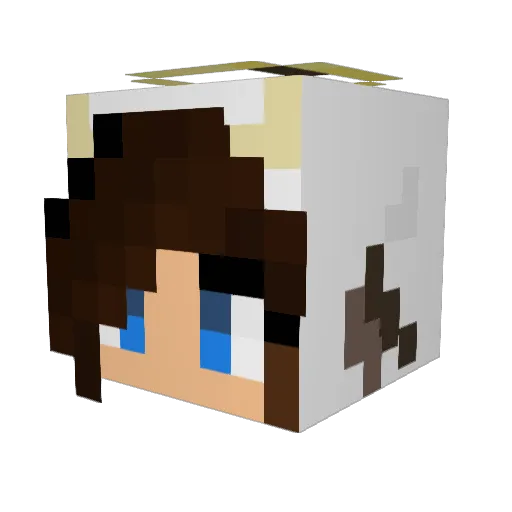 pandekag24 Minecraft avatar head, 3D render