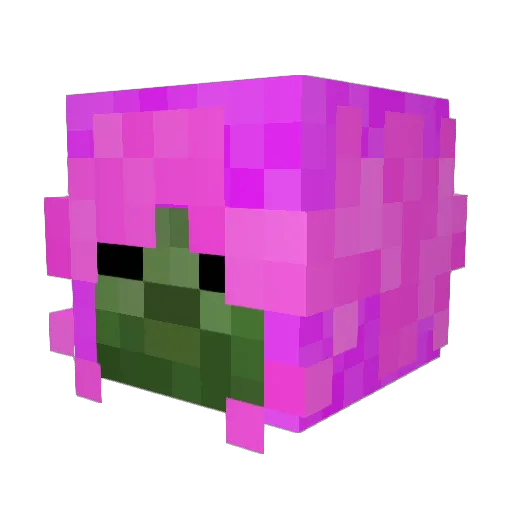 pandekagedrengen Minecraft avatar head, 3D render