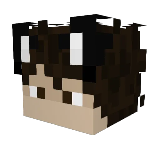 pandipandou Minecraft avatar head, 3D render
