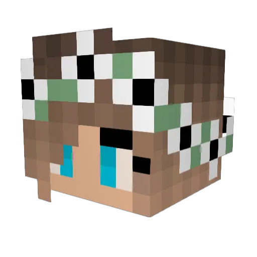 pandolinka Minecraft avatar head, 3D render