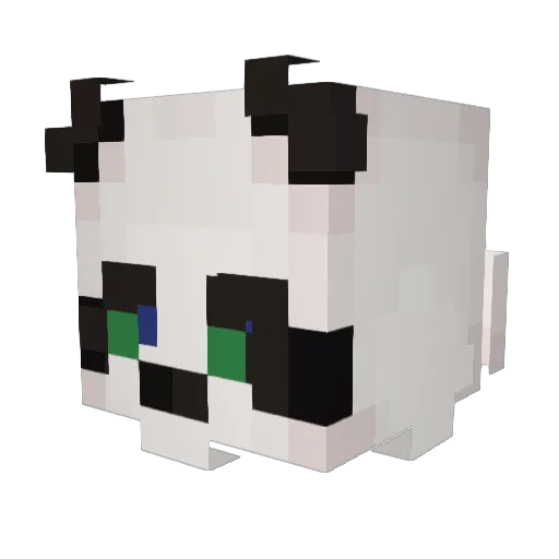 pandoobambo1121 Minecraft avatar head, 3D render