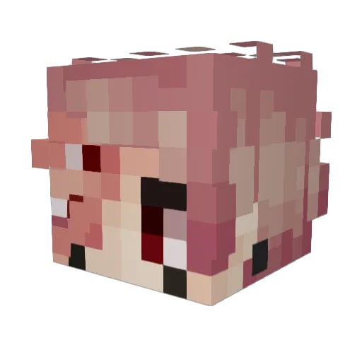 pandulfo Minecraft avatar head, 3D render
