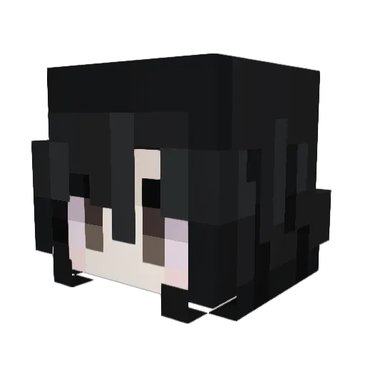 paneIa Minecraft avatar head, 3D render