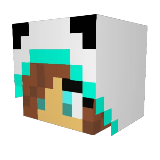 panersky Minecraft avatar head, 3D render