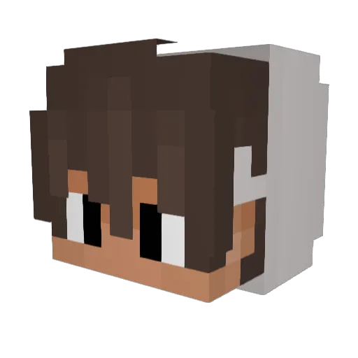 pangguru176 Minecraft avatar head, 3D render