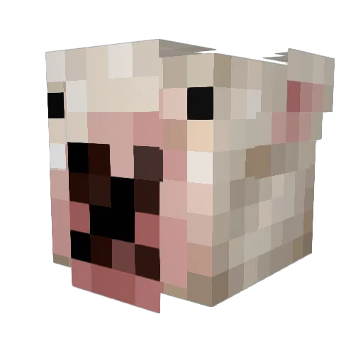pangrinni963 Minecraft avatar head, 3D render