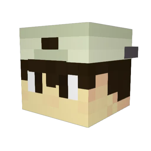 panic1020 Minecraft avatar head, 3D render