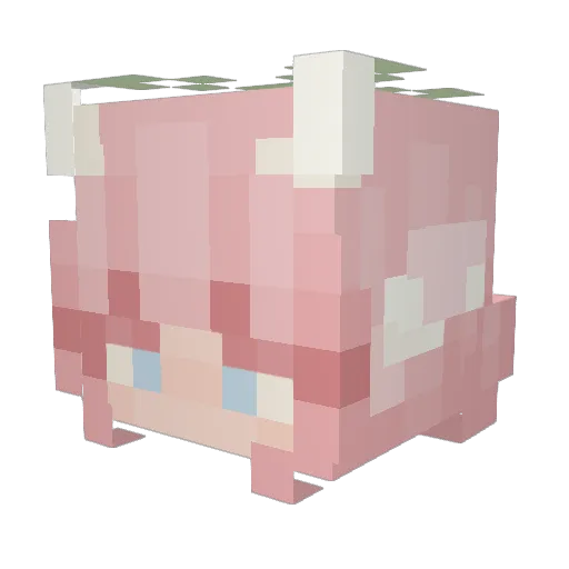 panicoutpilot Minecraft avatar head, 3D render