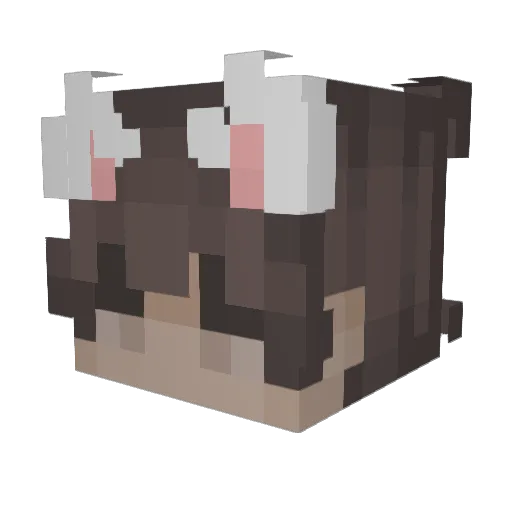 panini_head Minecraft avatar head, 3D render