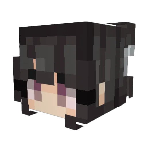 paninibreadyum Minecraft avatar head, 3D render