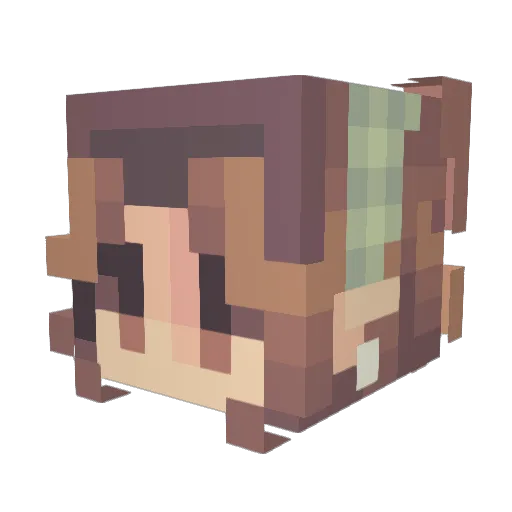 paninixchowder Minecraft avatar head, 3D render