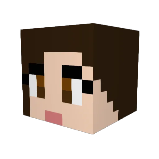 pannenkoek007 Minecraft avatar head, 3D render