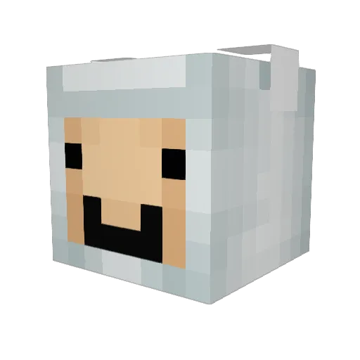 pantha2017 Minecraft avatar head, 3D render