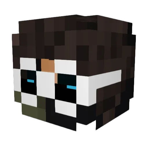 panther2060 Minecraft avatar head, 3D render