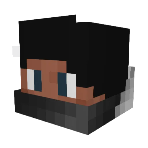 panthers1016 Minecraft avatar head, 3D render