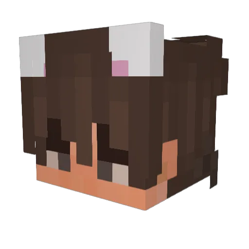 pantnickel Minecraft avatar head, 3D render