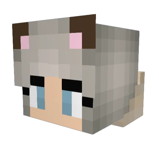 panyo519 Minecraft avatar head, 3D render