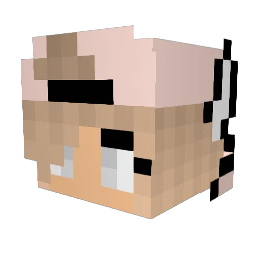 panziy Minecraft avatar head, 3D render