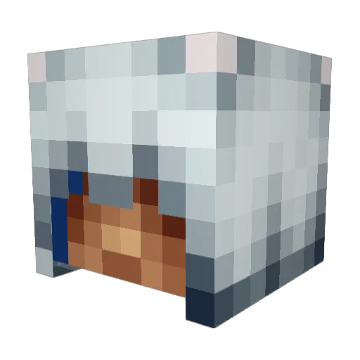 pao_tempongko Minecraft avatar head, 3D render