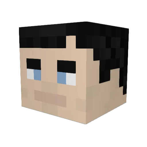 paolinho14 Minecraft avatar head, 3D render