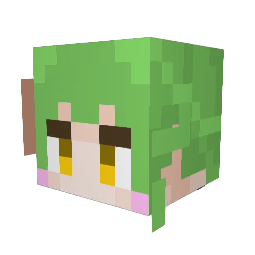 paopao_sam Minecraft avatar head, 3D render