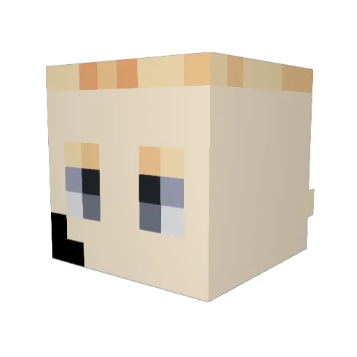 pap_nutella Minecraft avatar head, 3D render