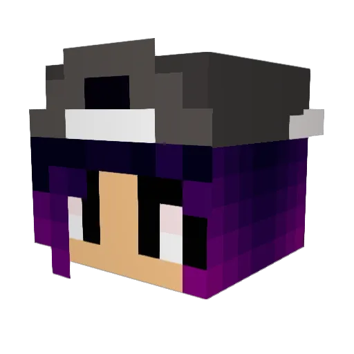 papa_panda420 Minecraft avatar head, 3D render