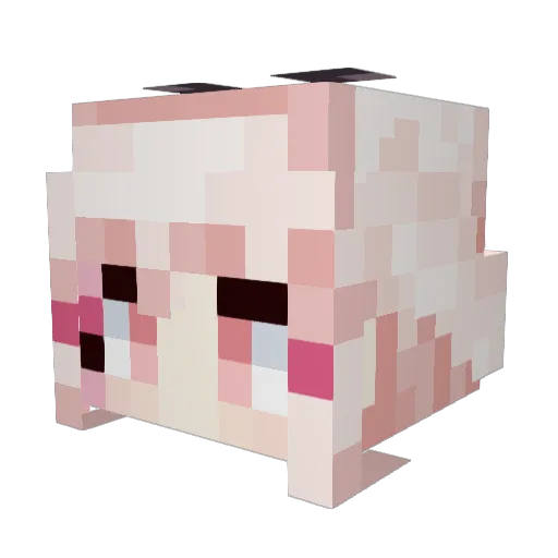 papagaj21 Minecraft avatar head, 3D render