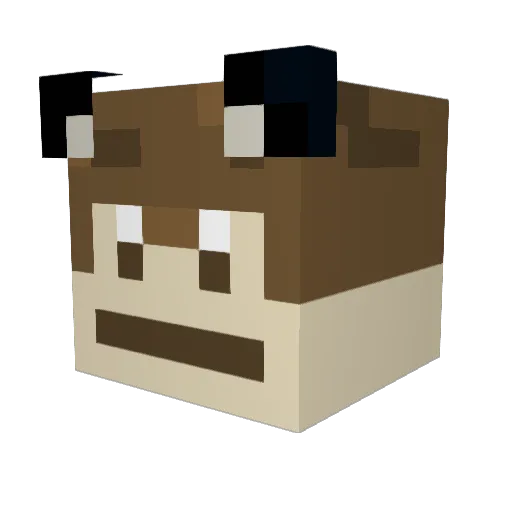 papajim2 Minecraft avatar head, 3D render