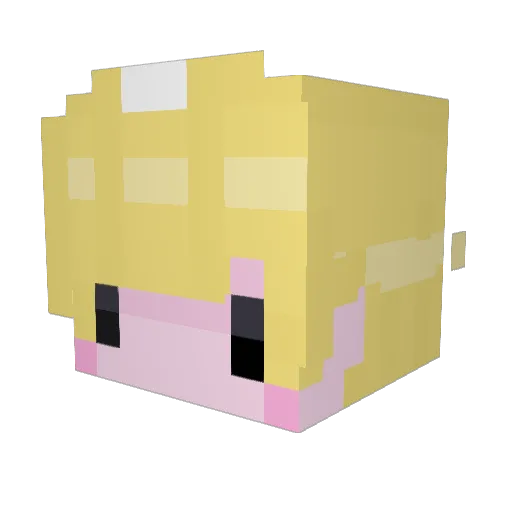 papaleon50 Minecraft avatar head, 3D render