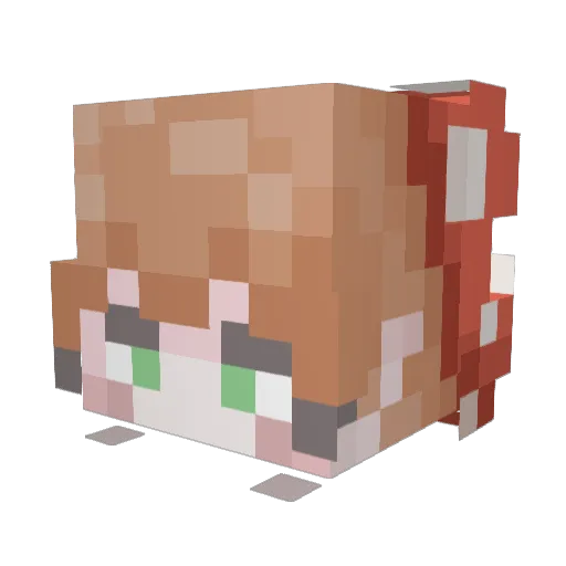papasavoy Minecraft avatar head, 3D render
