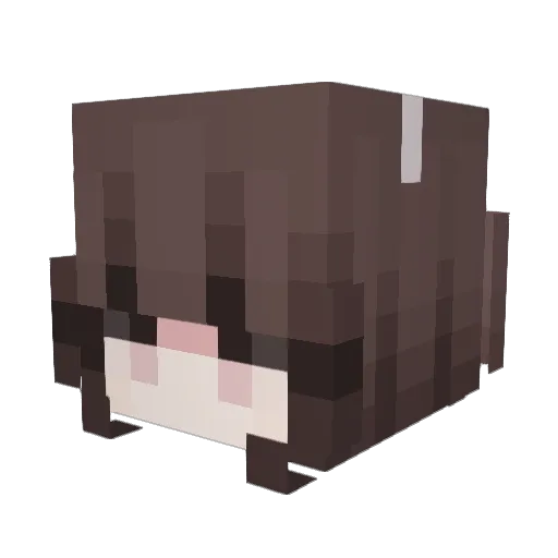 papasfritaas Minecraft avatar head, 3D render