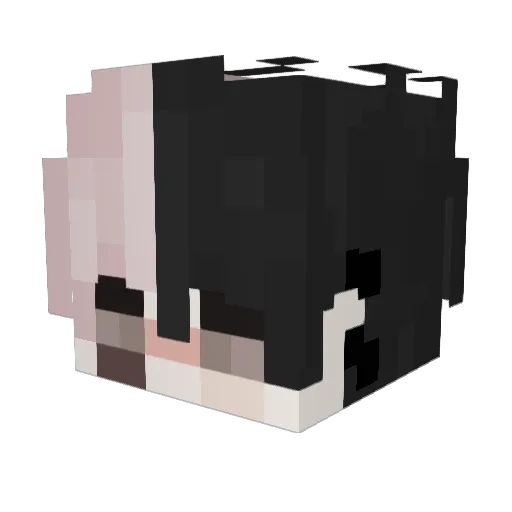 papayacheese0113 Minecraft avatar head, 3D render