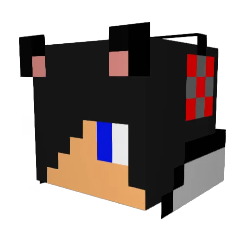 papayacrafters6 Minecraft avatar head, 3D render